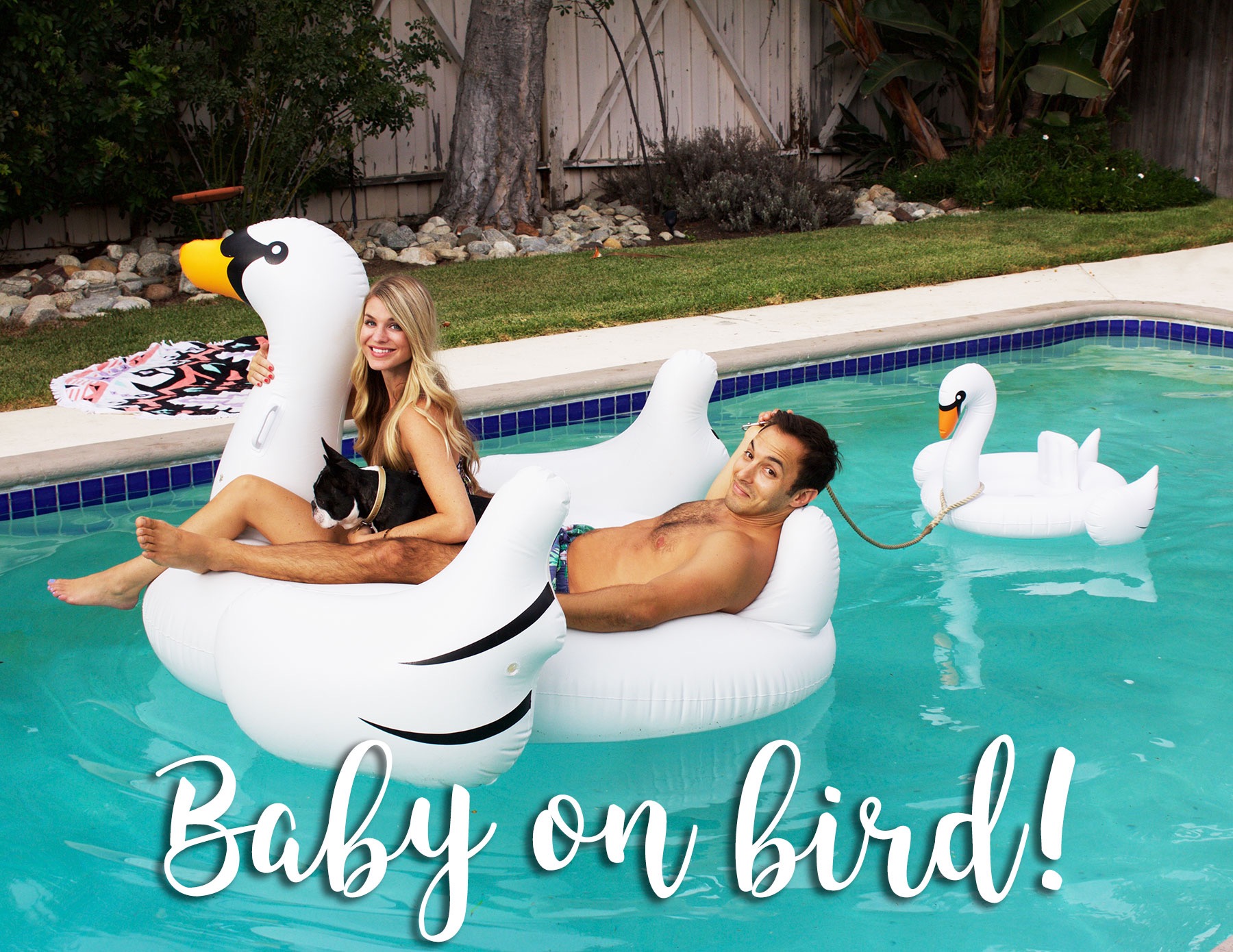 pool float baby announcement