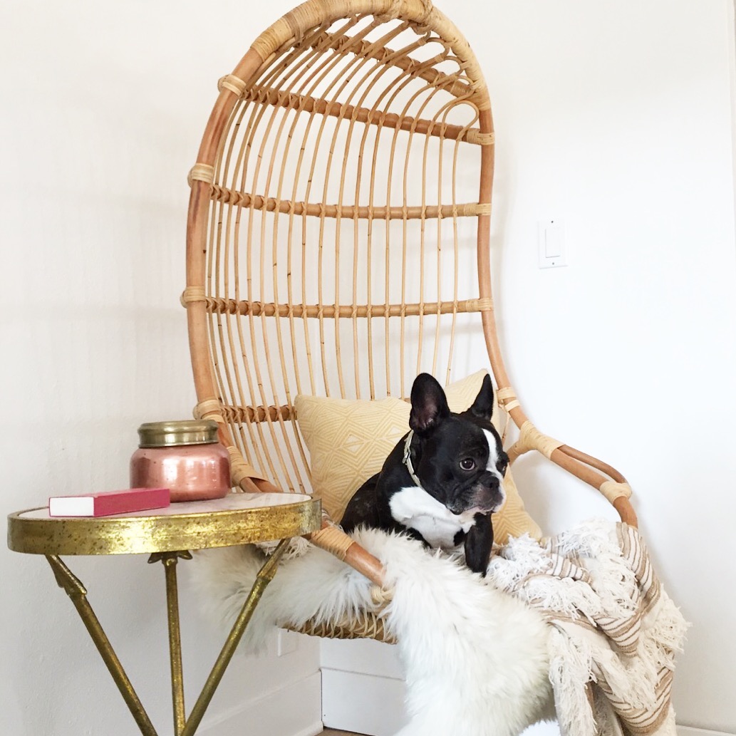 ratan hanging chair and french bulldog